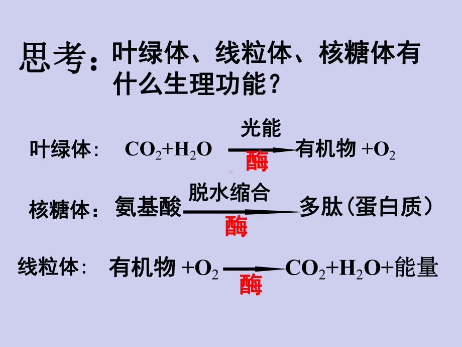 51降低化学反应活化能PPT课件.ppt_第2页