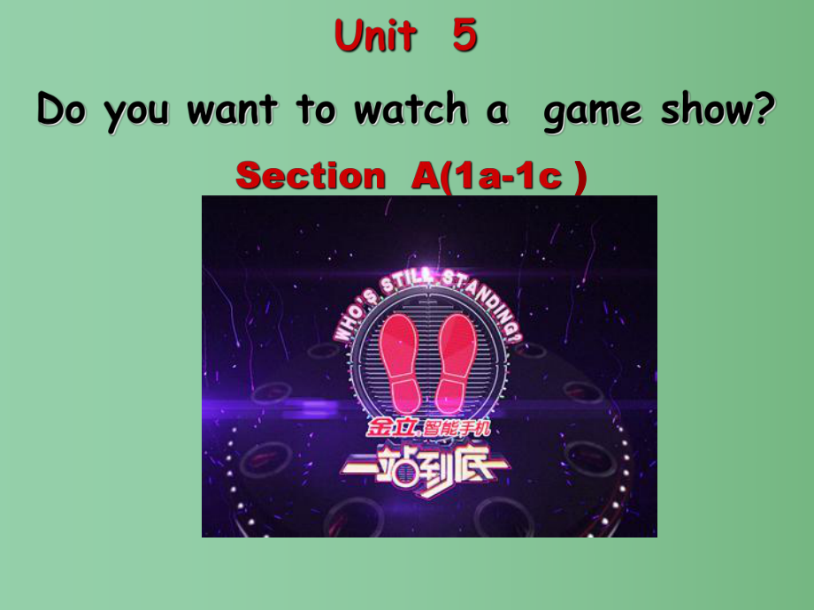 八年级英语上册-Unit-5-Do-you-want-to-watch-a-game-show-Section-A(1a-1c)课件-(新版)人教新目标版.ppt_第2页