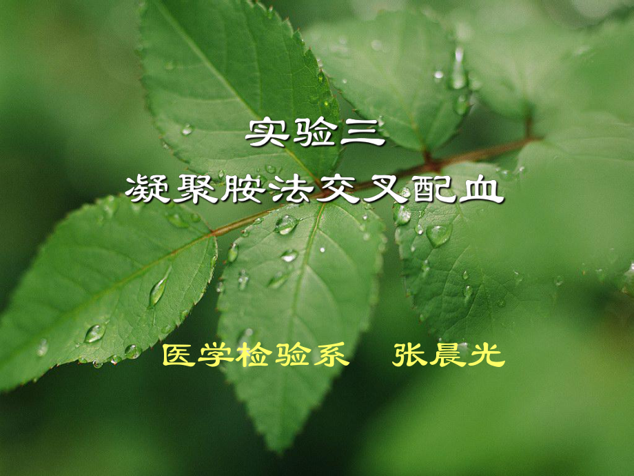 凝聚胺交叉配血试验-ppt课件.ppt_第1页