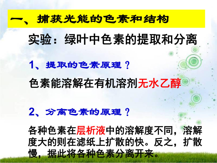 光合作用与能量转化-（新教材）高中生物必修1课件.pptx_第3页