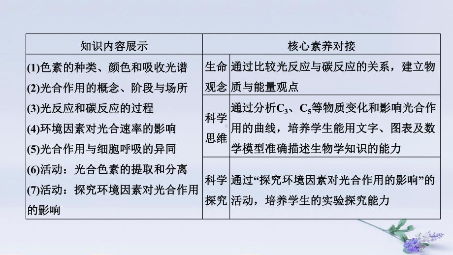 (浙江选考)2020版高考生物一轮复习第7讲光合作用课件.pptx_第2页