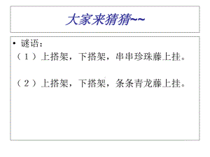 《爬山虎的脚》PPT优秀课件.pptx