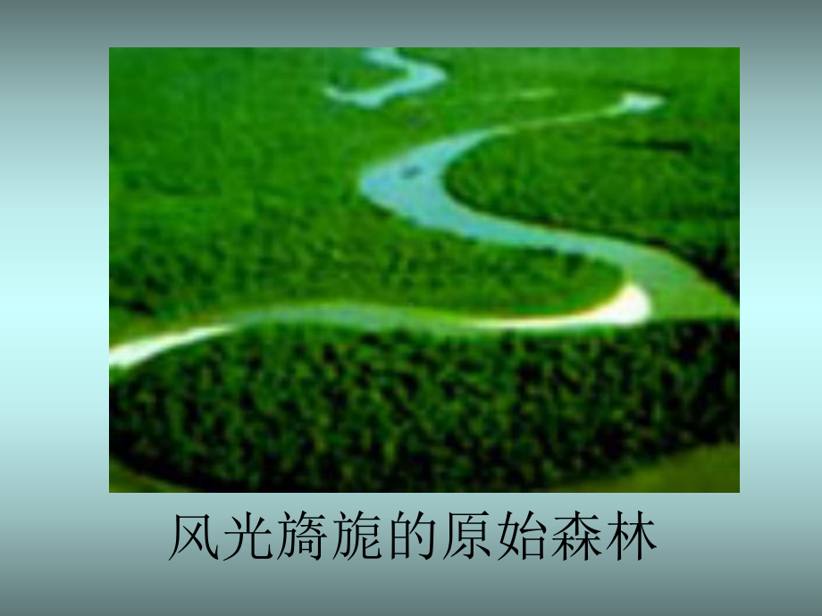 （公开课课件）亚马逊河.ppt_第2页