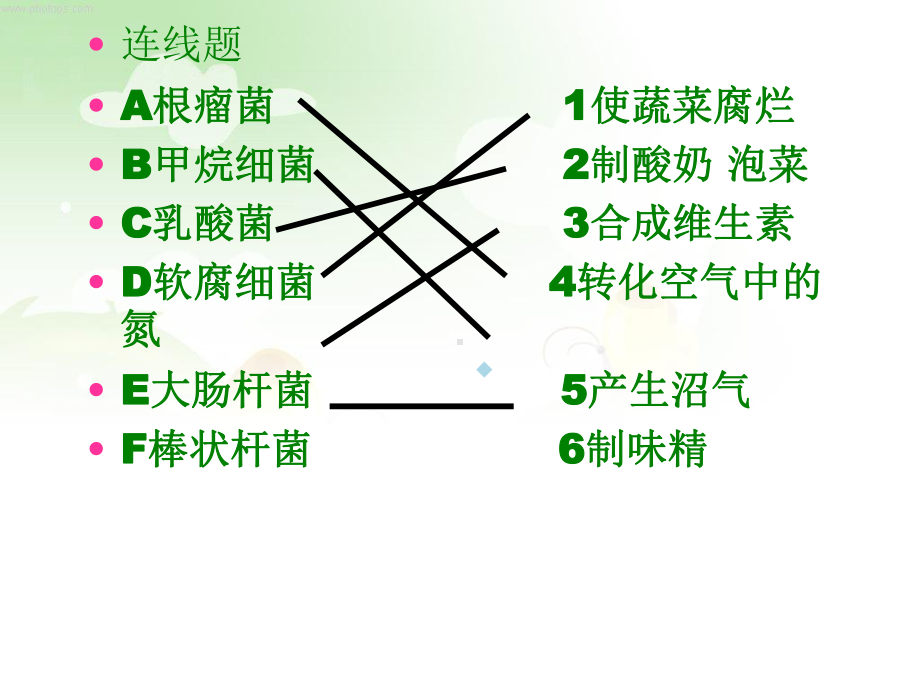 冀少版生物八年级上册第五单元第一章酵母菌和霉菌ppt课件.ppt_第2页