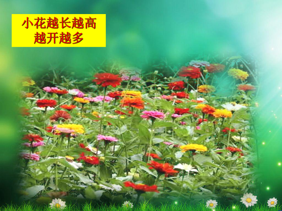 《茂密的花》完整版教学课件PPT.ppt_第2页