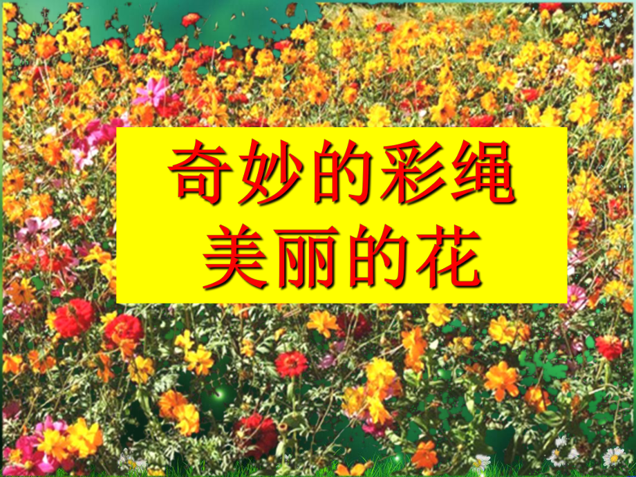 《茂密的花》完整版教学课件PPT.ppt_第3页