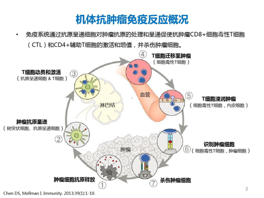 免疫治疗PPT课件.ppt_第2页