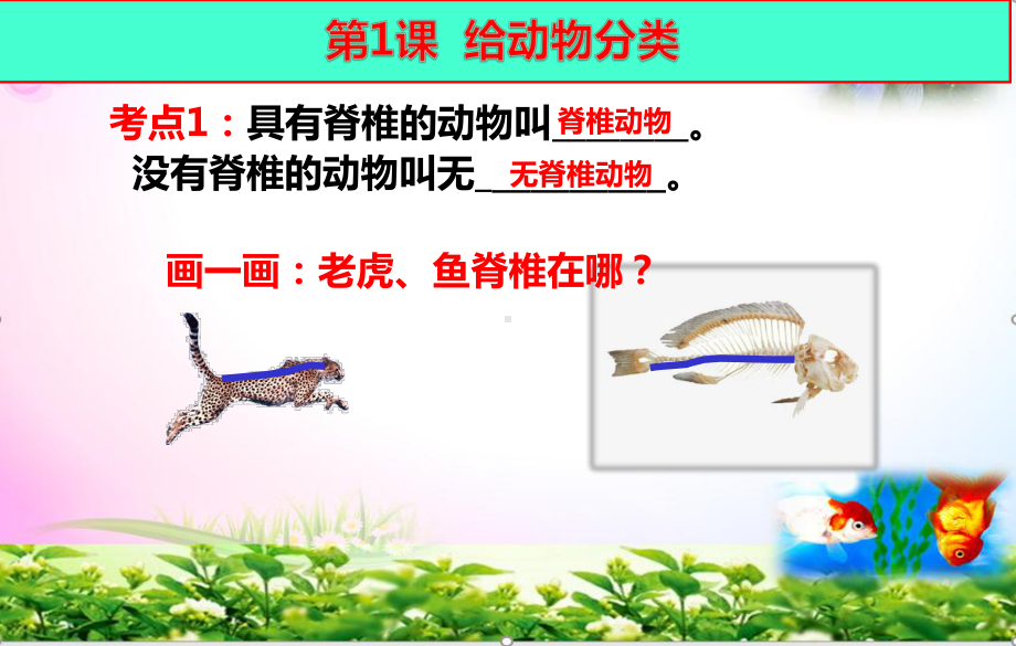 （2020最新版）苏教版科学四年级上册知识点汇总期末总复习ppt课件(简约版动画已调)-.pptx_第2页