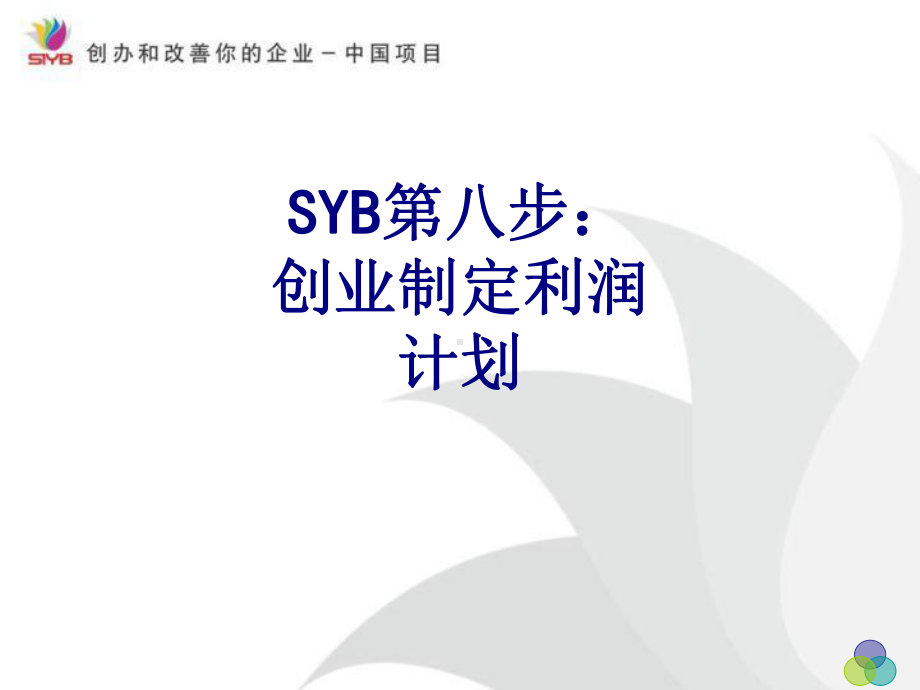 SYB第八步创业制定利润计划优质PPT课件.ppt_第1页