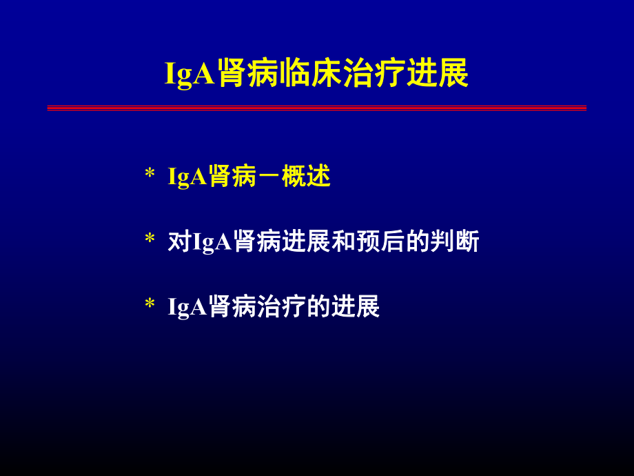 （新整理）iga肾病临床治疗新进展PPT课件.ppt_第3页