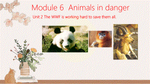 Module-6-Unit-2-The-WWF-is-working-hard-to-save-them-all公开课说课公开课精品课件.ppt