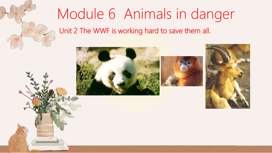 Module-6-Unit-2-The-WWF-is-working-hard-to-save-them-all公开课说课公开课精品课件.ppt_第1页