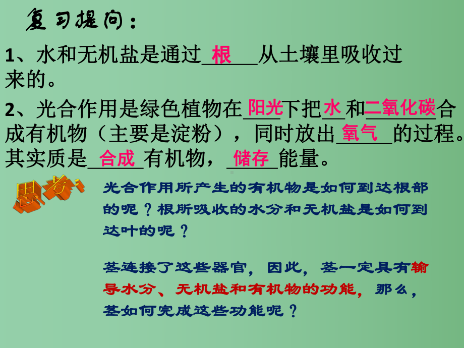 七年级生物下册-第五章-第二节-植物体内的物质运输课件-北京课改版.ppt_第2页