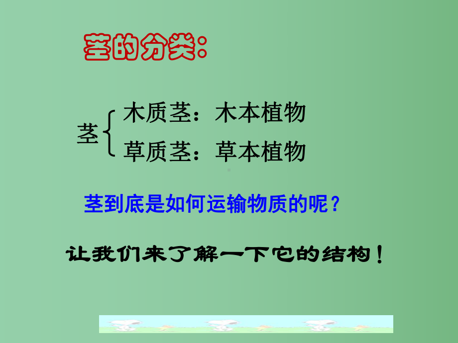 七年级生物下册-第五章-第二节-植物体内的物质运输课件-北京课改版.ppt_第3页