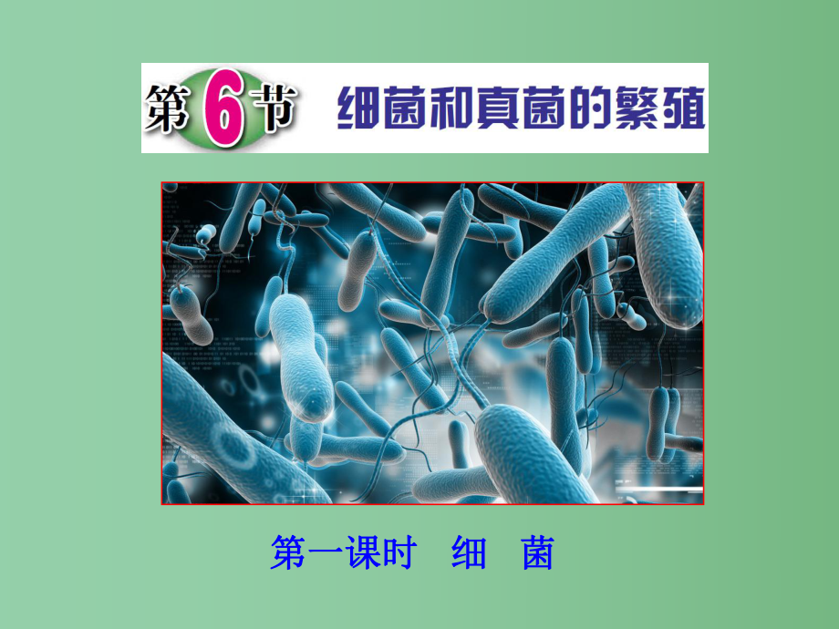 七年级科学下册-1.6-细菌和真菌的繁殖(第1课时)课件-浙教版.ppt_第1页