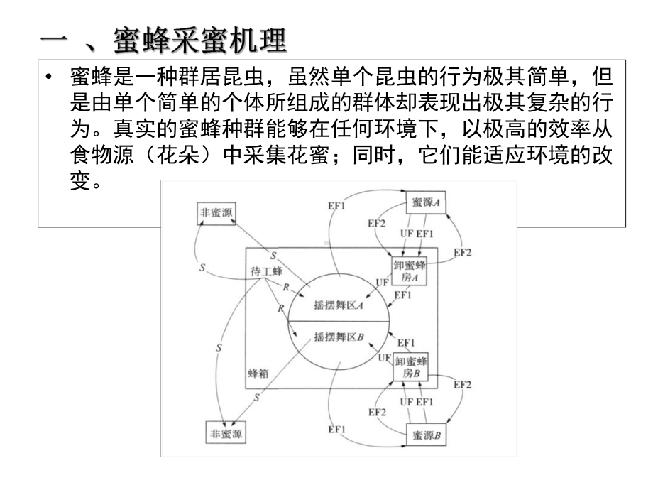 人工蜂群算法详解-ppt课件.ppt_第3页