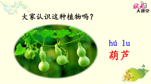 公开课-我要的是葫芦-完整PPT课件.ppt