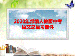 2020年部编人教版中考语文总复习12个专题复习课件.pptx