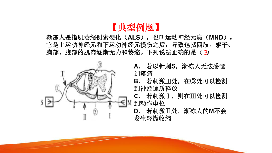 2020高三生物复习《通过神经系统的调节》PPT课件.ppt_第3页