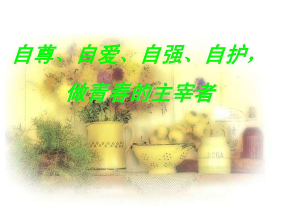 《女生主题班会》PPT课件.ppt_第1页