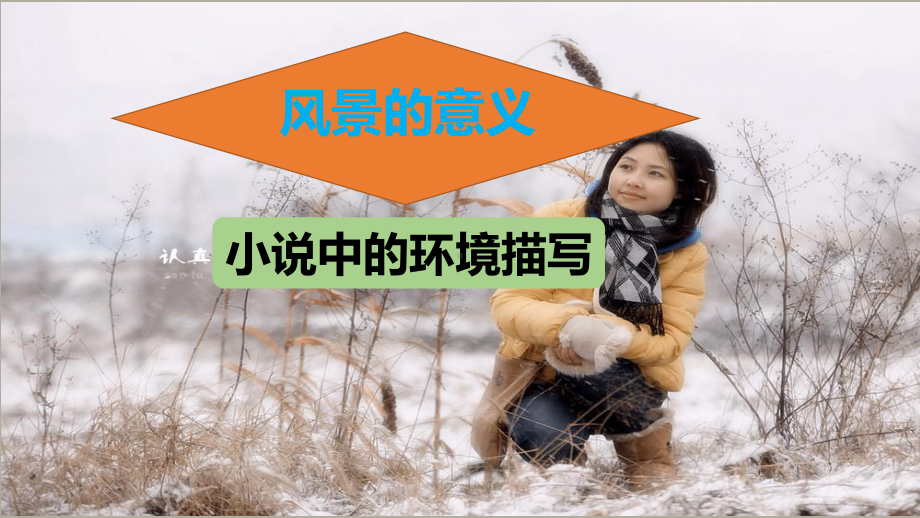 《话题：风景的意义》教学课件.pptx_第3页