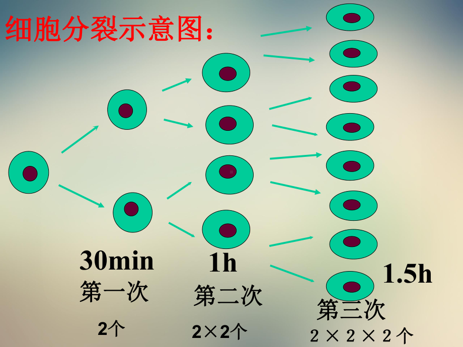 人教版七年级上册有理数的乘方(公开课课件).ppt_第3页