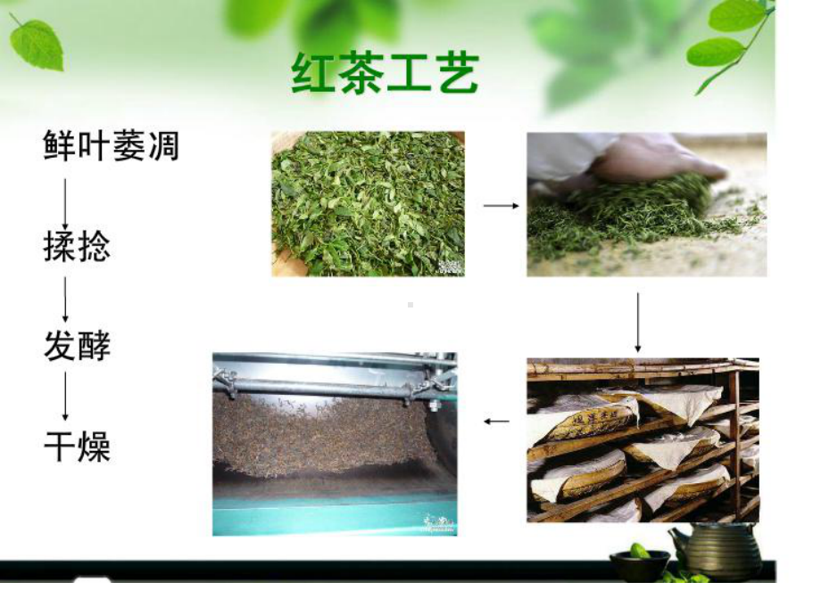 《红茶知识大全》PPT课件.ppt_第3页