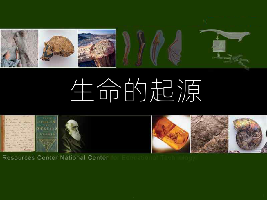 《生命的起源》PPT课件.ppt_第1页