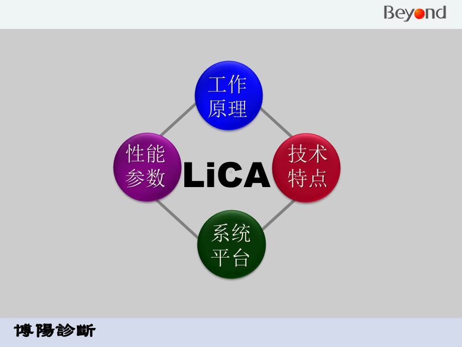 光激化学发光新一代化学发光-ppt课件.ppt_第2页