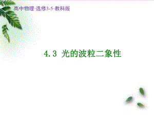 光的波粒二象性-ppt课件.ppt