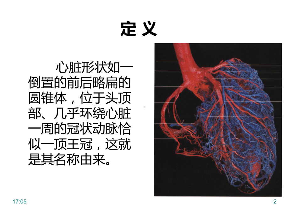 (优选)冠状动脉解剖课件.ppt_第2页