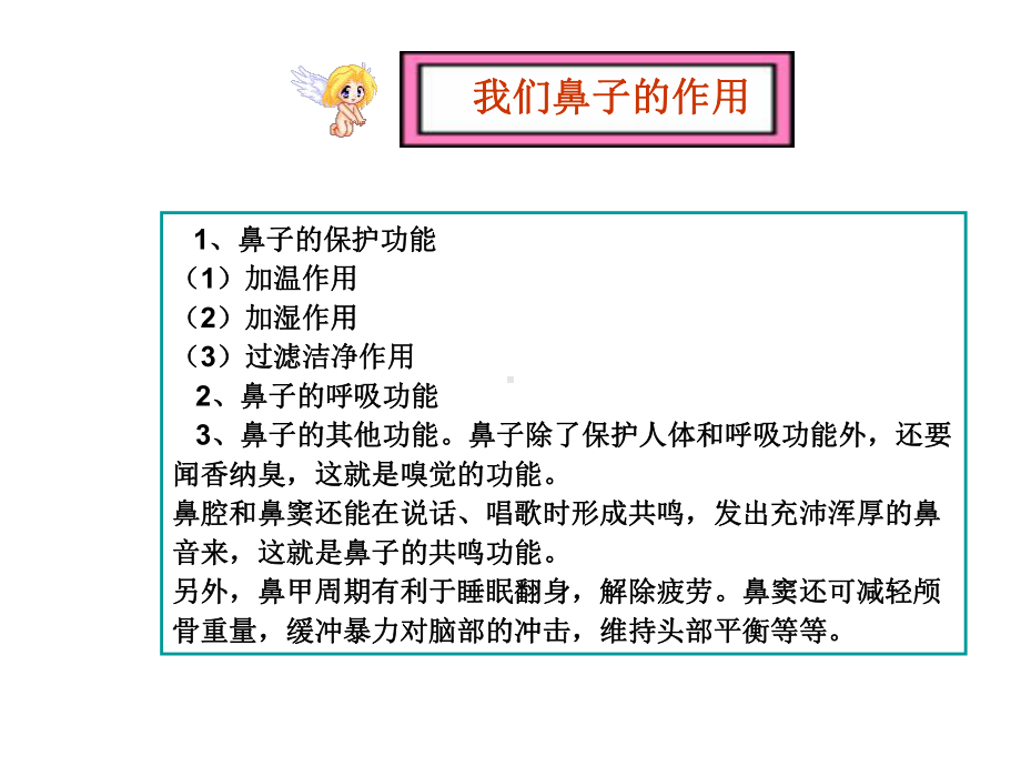 整理后药店常见急性鼻炎用药精品PPT课件.pptx_第2页