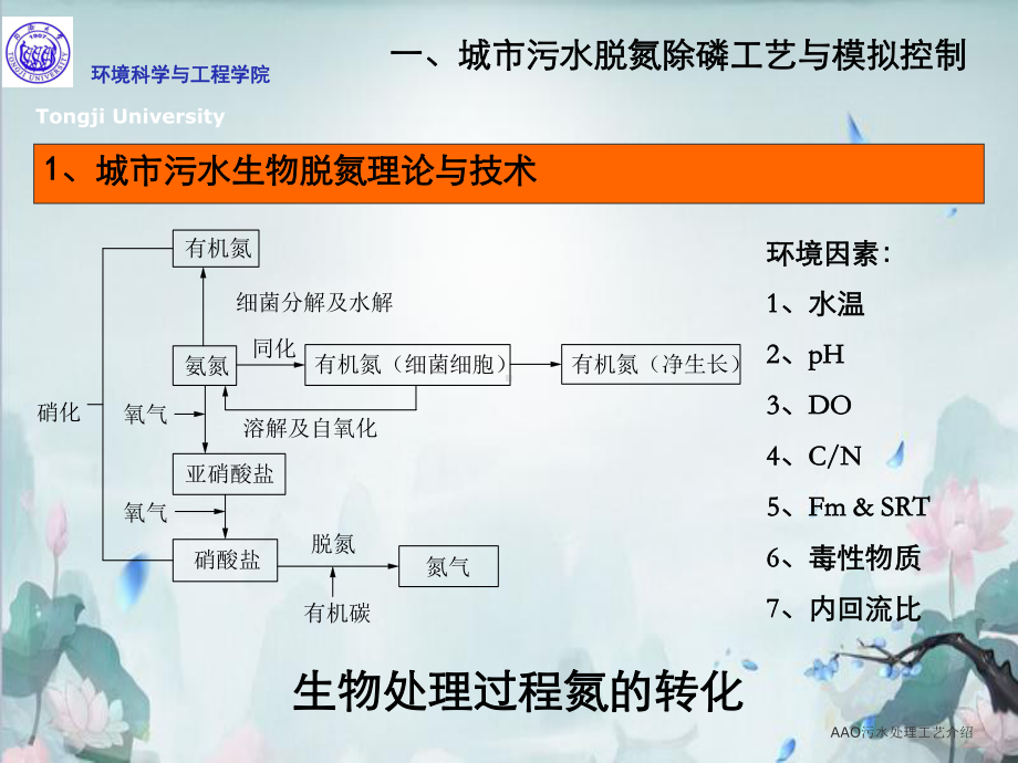 AAO污水处理工艺介绍课件.ppt_第2页