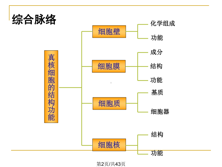 一细胞结构与功能课件.pptx_第2页