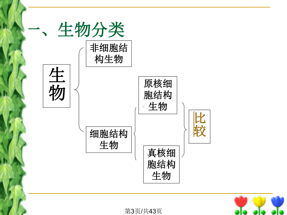 一细胞结构与功能课件.pptx_第3页