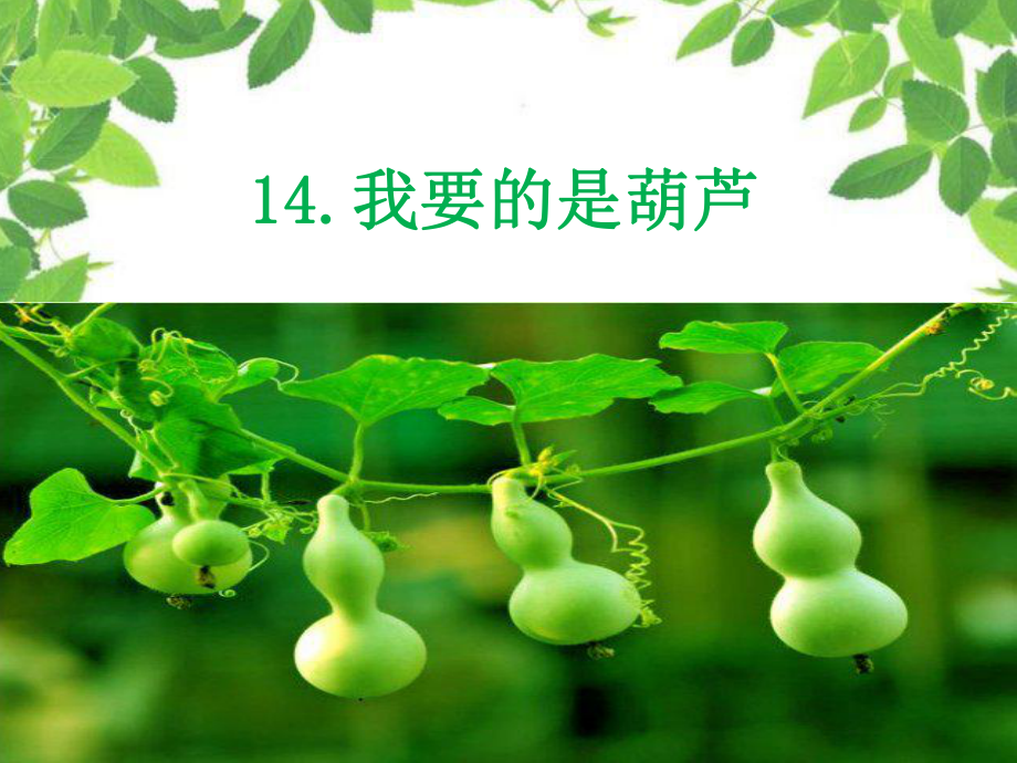 《14-我要的是葫芦》课文课件.ppt_第1页