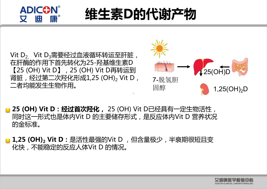 医学课件维生素D检测专题宣讲.ppt_第3页