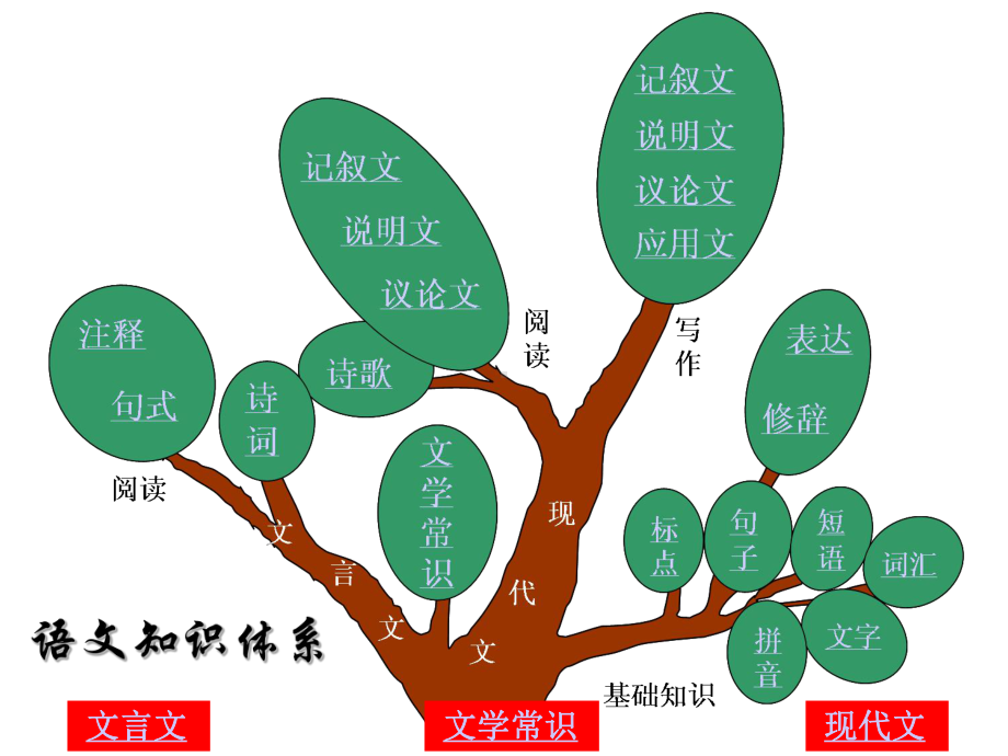 中考语文复习-语文知识树课件.pptx_第3页