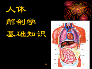 人体解剖学基础概述课件.ppt