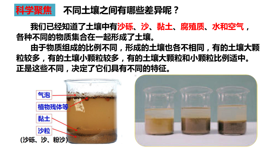 2022新教科版四年级下册科学3.7比较不同的土壤ppt课件.pptx_第2页