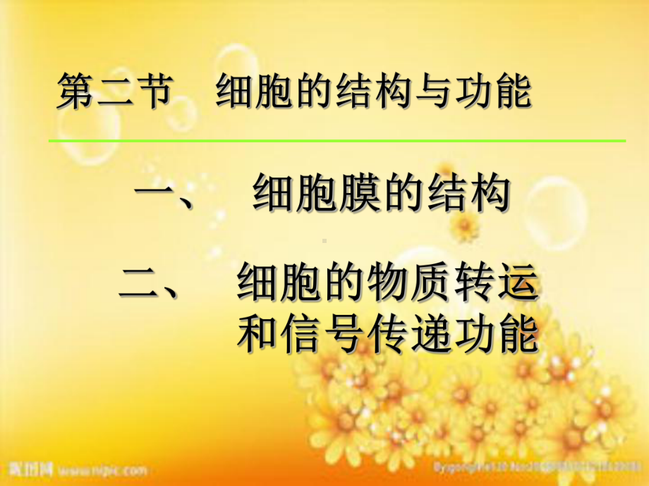 人体细胞结构-PPT课件.ppt_第2页