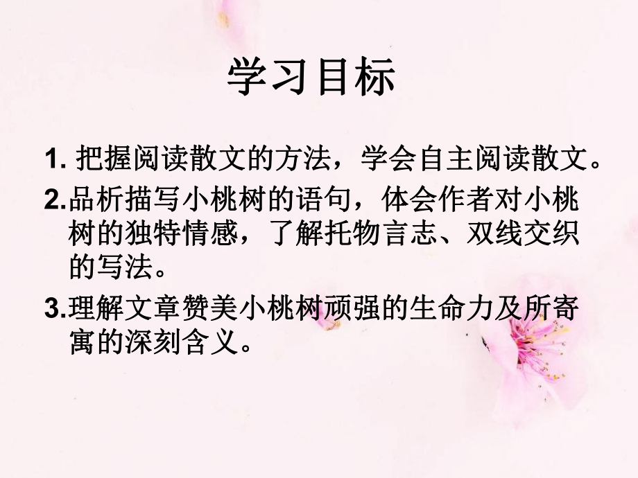 一棵小桃树公开课课件.pptx_第3页