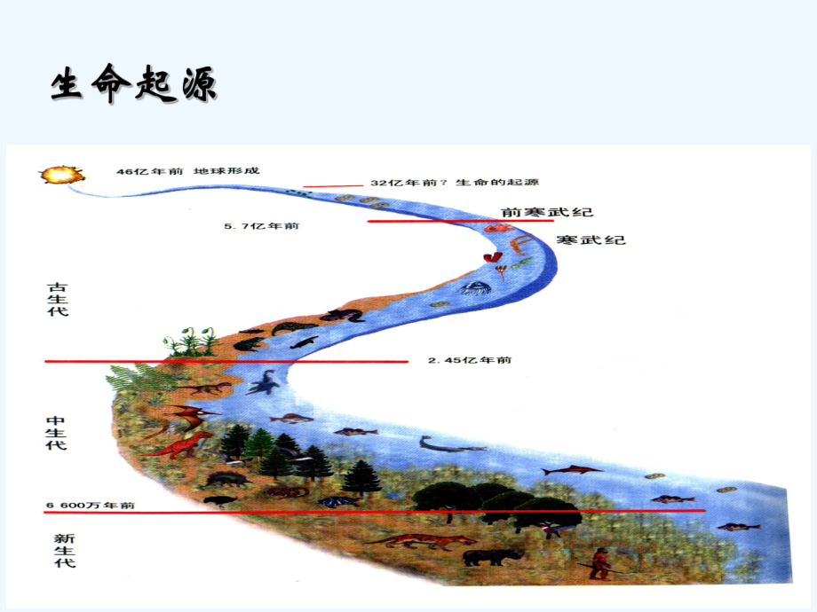 中医学理论筋膜学与人体经络(ppt)课件.ppt_第3页