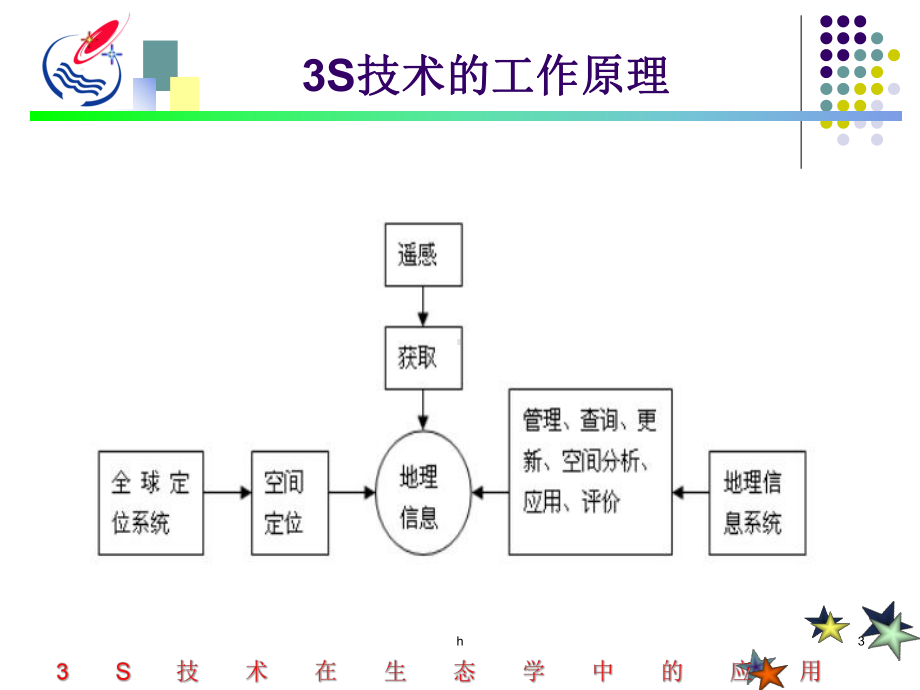 b3S技术在生态学中的应用课件.ppt_第3页