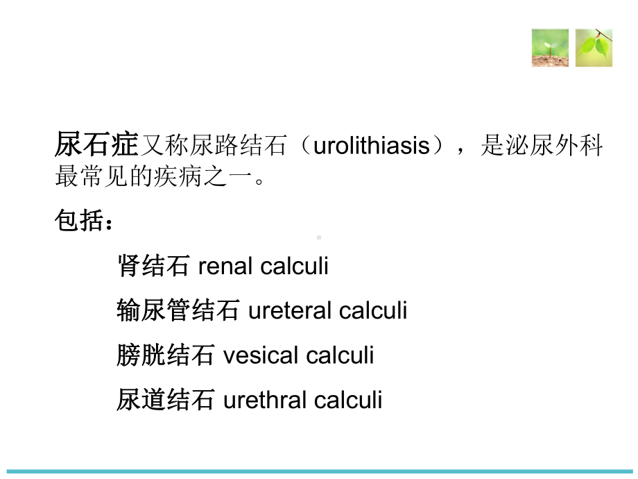 尿石症病人的护理1PPT课件.ppt_第2页