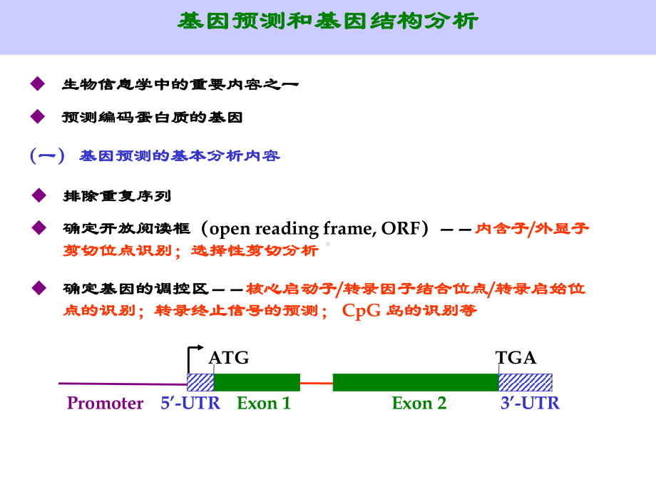 五基因结构预测与基因表达分析课件.ppt_第3页