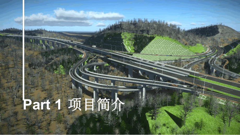 BIM在大型市政道路项目应用方案最新PPT课件.ppt_第3页