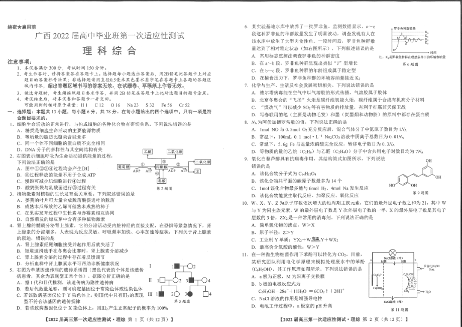 广西2022届高中毕业班第一次适应性测试理综试题.pdf_第1页