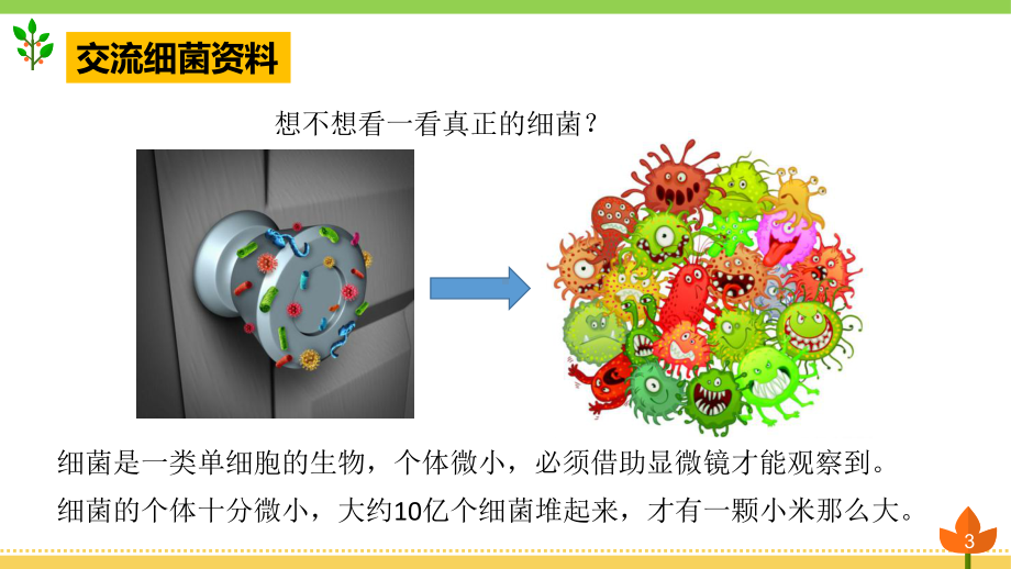 小学科学《细菌》优质课件.pptx_第3页