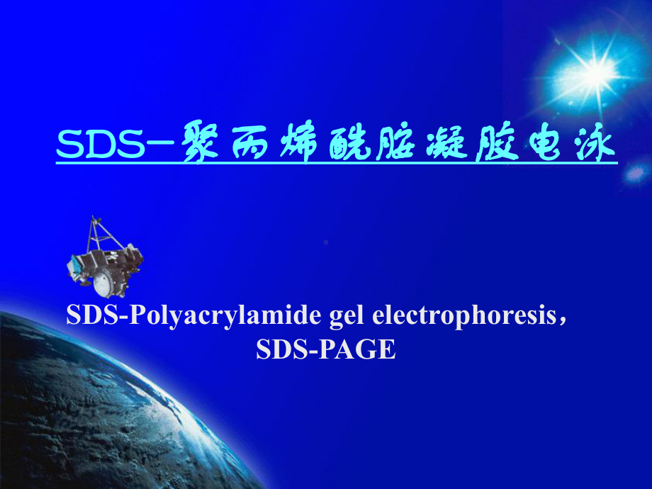 SDS-聚丙烯酰胺凝胶电泳课件.ppt_第1页